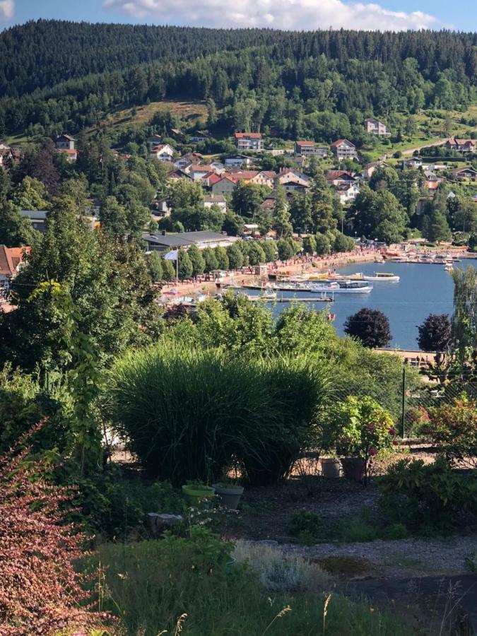 Gerardmer : Residence "L'Eau Vive" Экстерьер фото