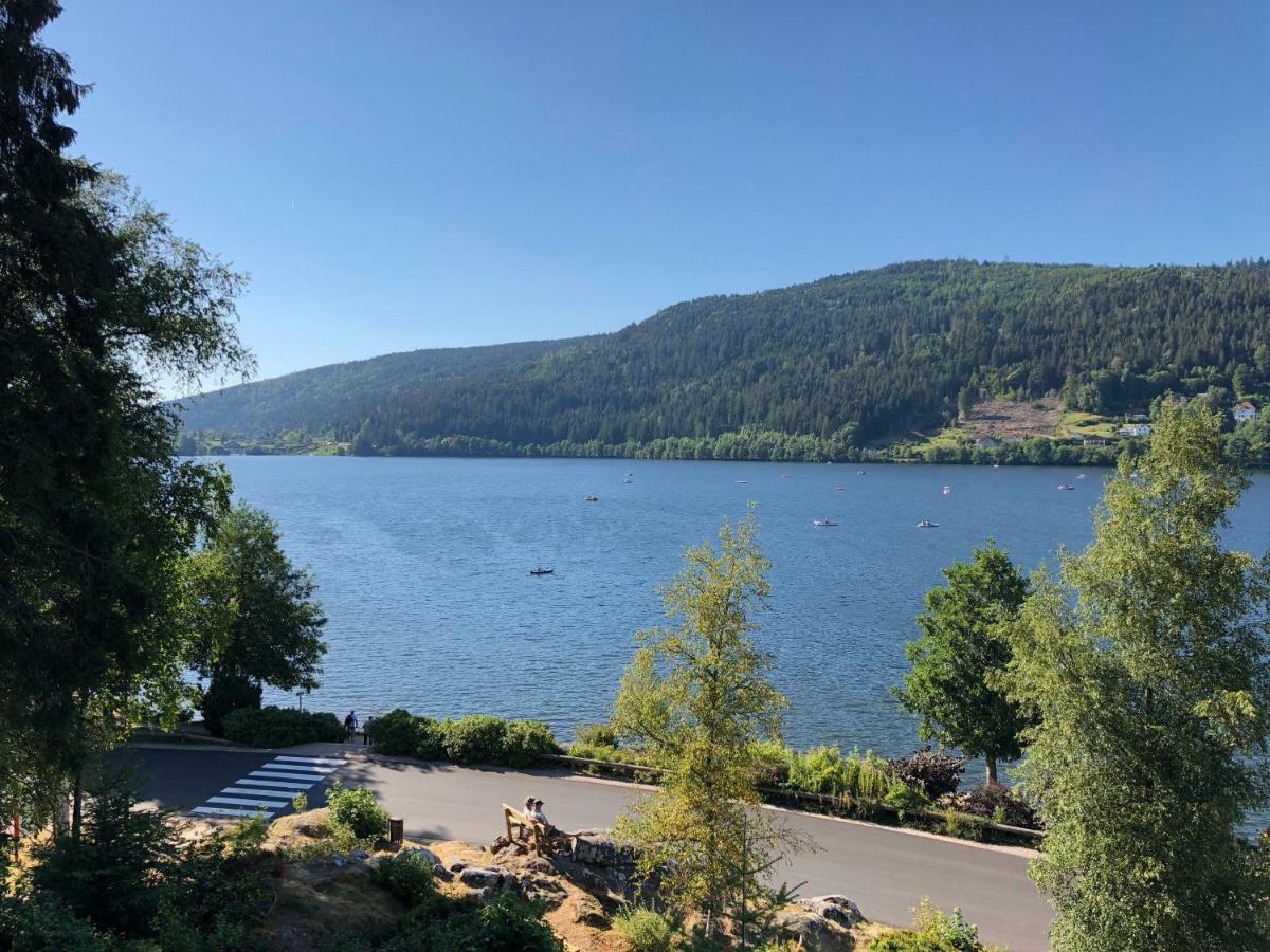 Gerardmer : Residence "L'Eau Vive" Экстерьер фото